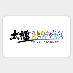 Tai Chi kung fu(功夫) Sticker